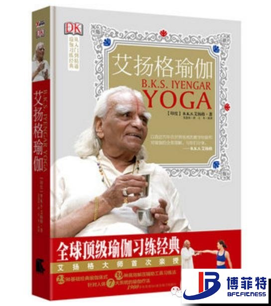 艾揚格瑜伽：精準習練指南