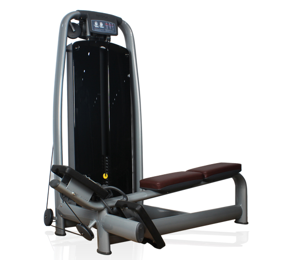 BFT2007豪華背部訓練器 低拉劃船器 坐式低拉背肌