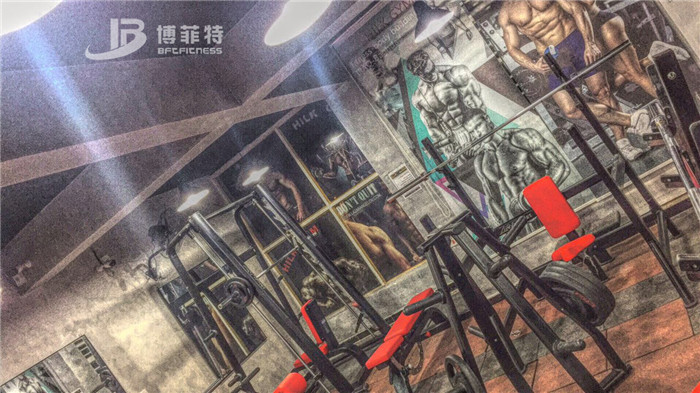 伊拉克客戶的健身房圖片 羞羞视频APP下载大全健身器材案例