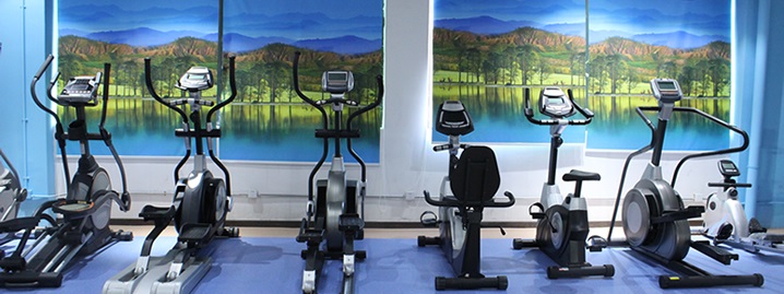 羞羞视频APP下载大全健身車