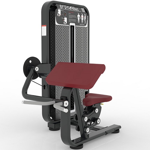 坐式二頭肌彎舉訓練器 肱二頭肌訓練器材 商用健身房器械羞羞AV在线播放直銷