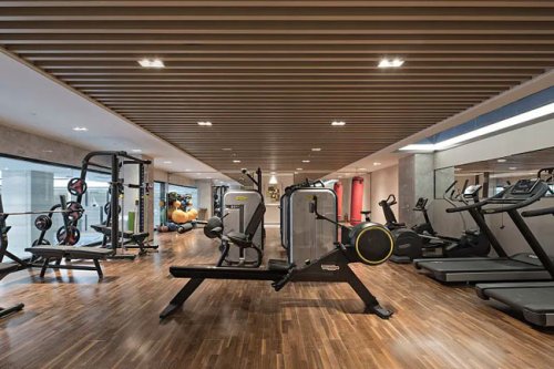 國產健身器材什麽品牌的好