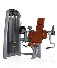 BFT2003肱二頭肌訓練器 室內健身器材大全批發