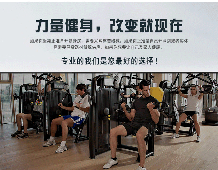 坐式胸肌推舉訓練器 坐式胸肌推舉訓練器