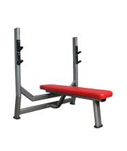 BFT3030水平推舉訓練器 室內健身器材大全批發